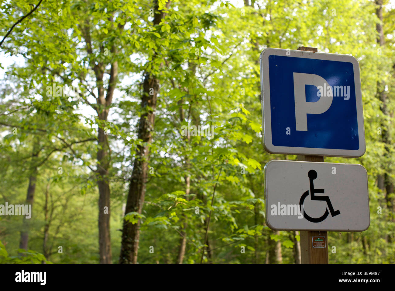 Wald von Haguenau (67): Kurs für ambulante Behinderte Stockfoto