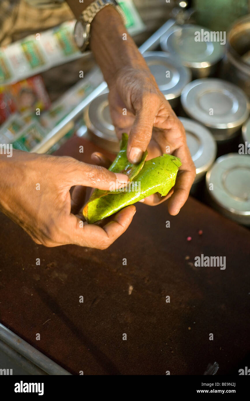 Ein Paan Wallah macht Paan in Alt-Delhi, Indien Stockfoto