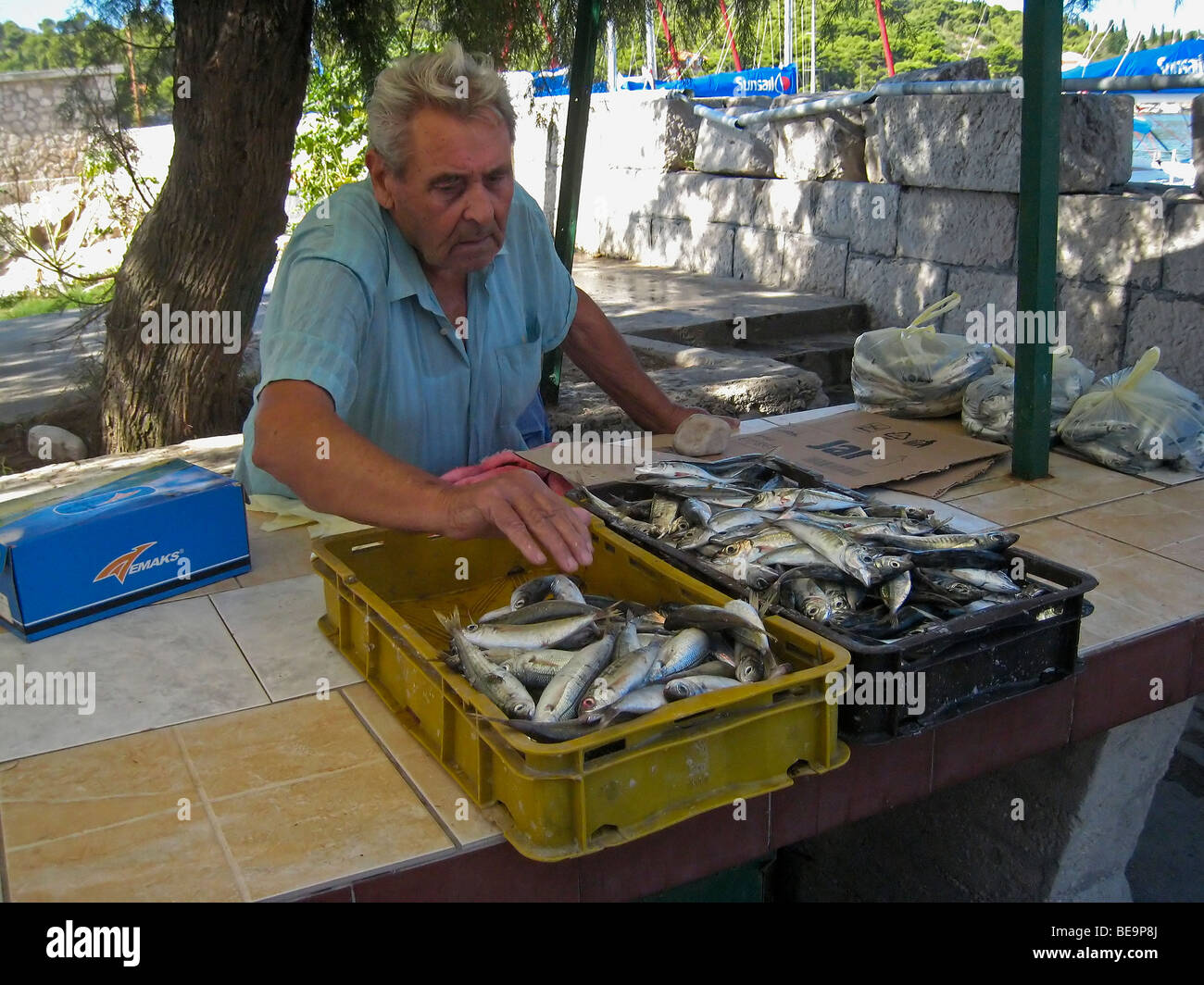 Kroatien; Hrvartska; Fernsehreihe; Šibenik-Knin, Privč Island, Privč Luka, Fischer mit Fischen zu verkaufen Stockfoto