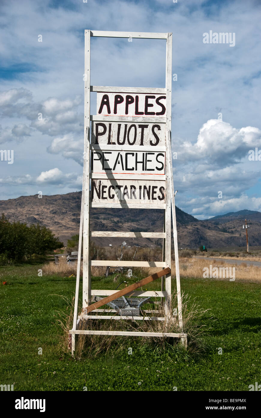 alten verwitterten weiß lackiertem Holz Apfel pflücken Leiter verwendet, wie Zeichen in Okanagan Valley Landschaft Washington Obststand Stockfoto