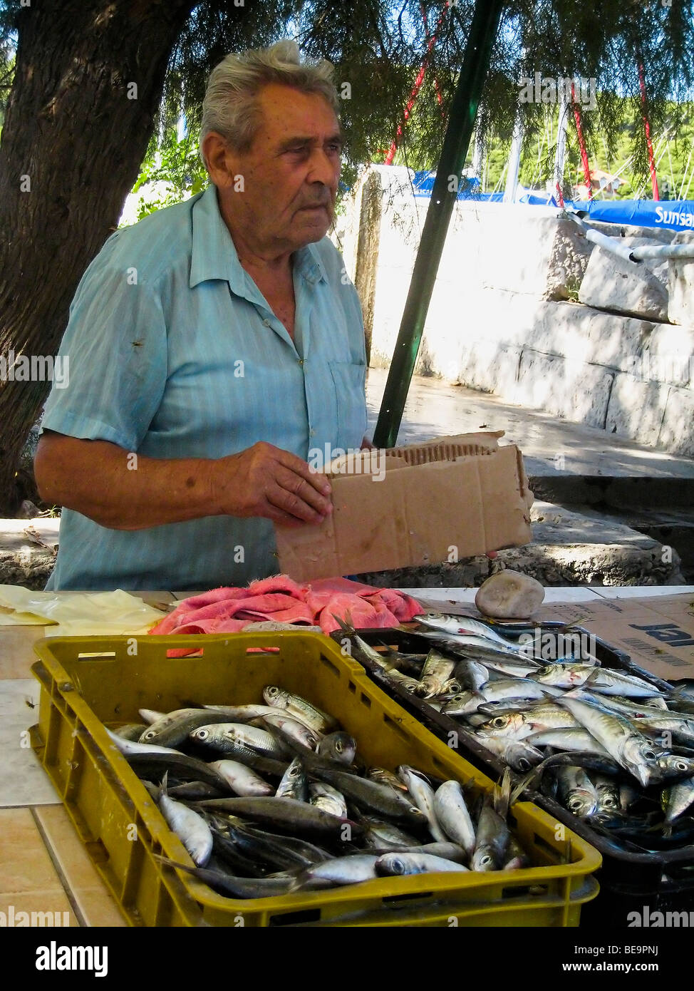 Kroatien; Hrvartska; Fernsehreihe; Šibenik-Knin, Privč Island, Privč Luka, Fischer mit Fischen zu verkaufen Stockfoto