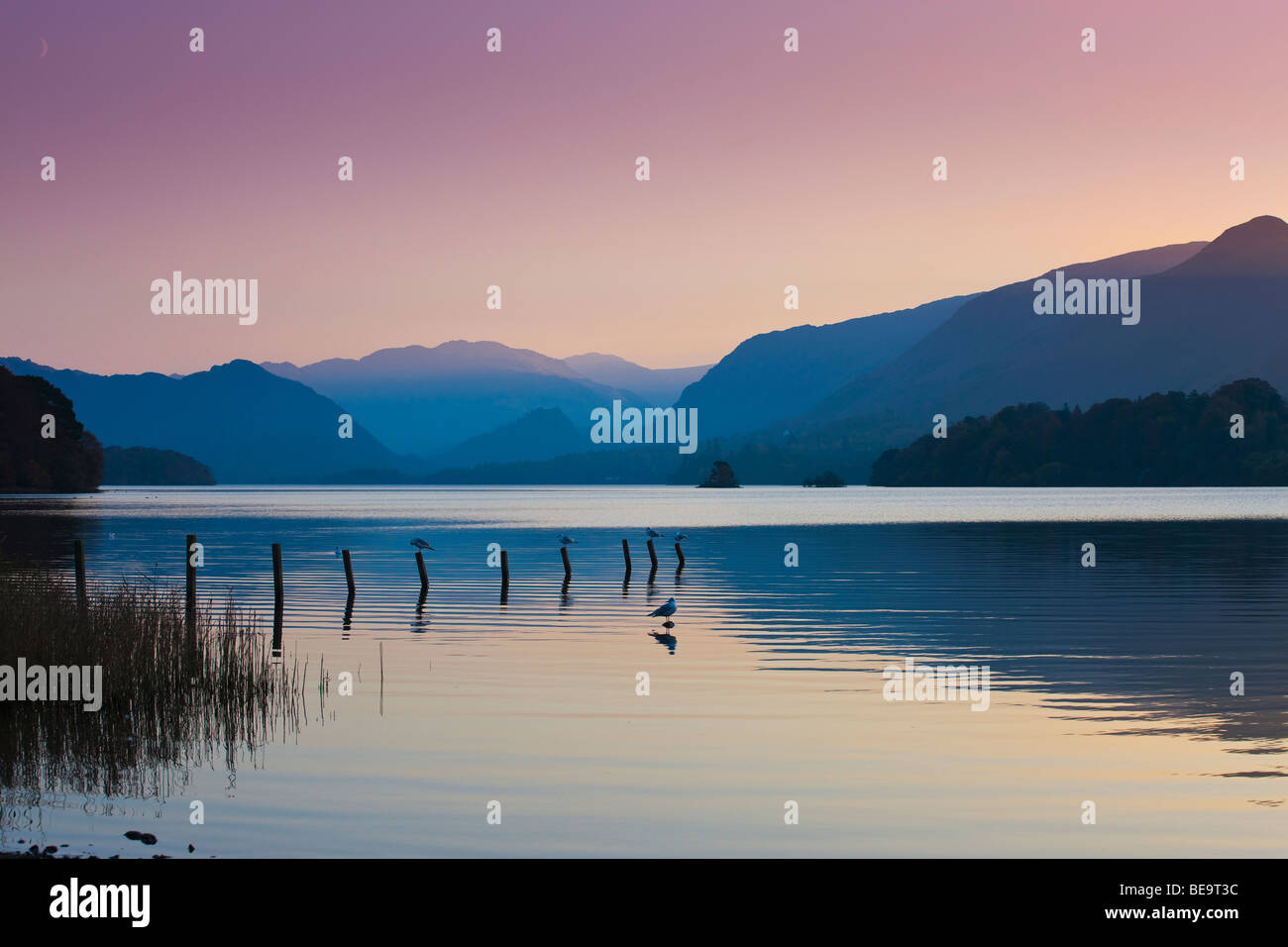 Derwent Wasser Lake District National Park Cumbria, England Stockfoto