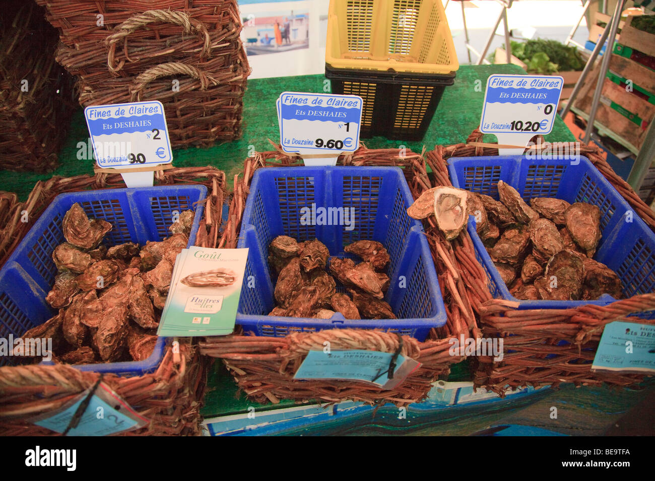 Teure Austern, die auf Verkauf in Paris als "Geldbußen de Claires" eingestuft Stockfoto