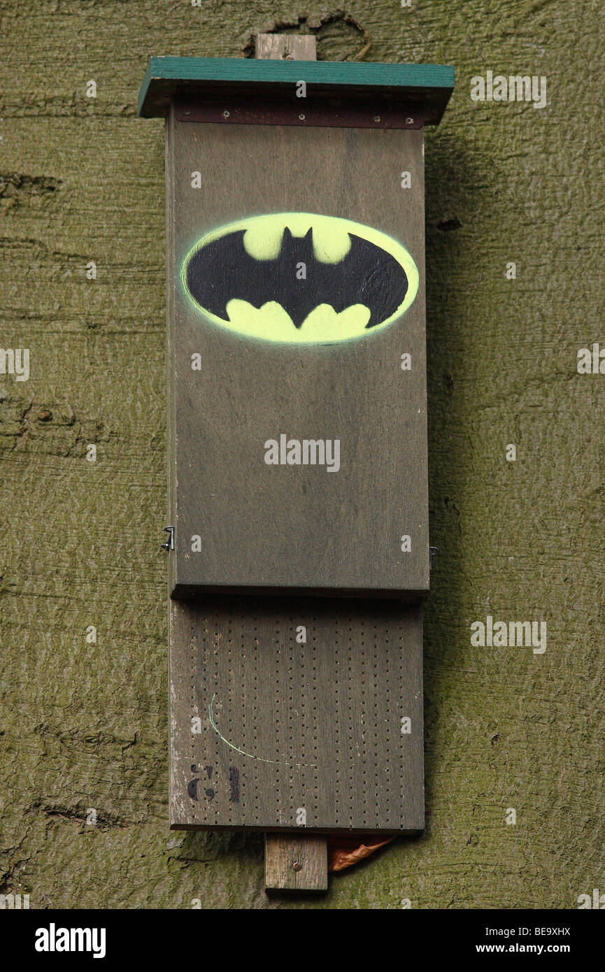 Fledermauskasten Stockfoto