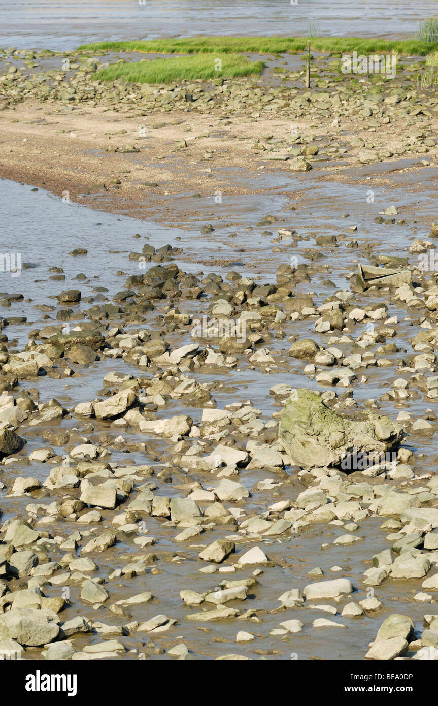 Steinige Ufer des Flusses Weser bei Ebbe Stockfoto