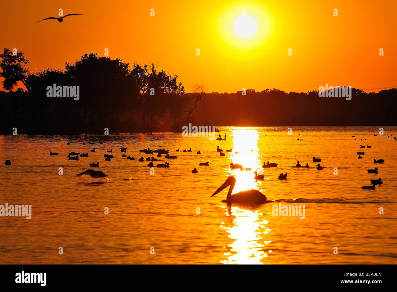 Orange Sonnenuntergang über White Rock Lake in der Nähe von Dallas, Texas Stockfoto