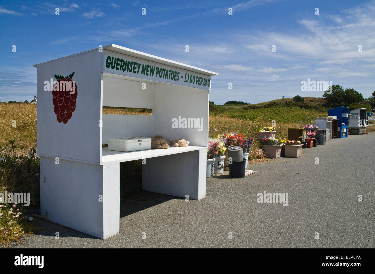 dh VALE GUERNSEY Regionale Produkte auf einem ländlichen Heckenmarkt in Guernsey, der Gemüsestände am Straßenrand verkauft, Honesty Box Veg Stockfoto