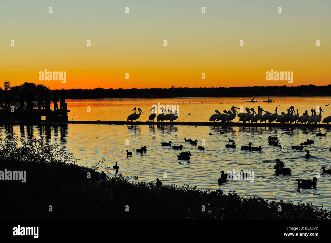 Orange Sonnenuntergang über White Rock Lake in der Nähe von Dallas, Texas Stockfoto