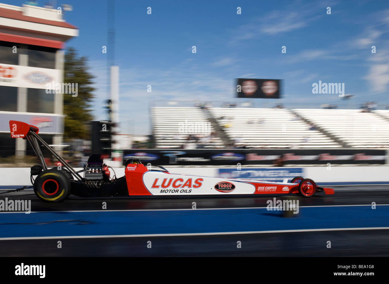 Morgan Lucas im Jahr 2008 NHRA Zeitfahren-Aktion auf dem Firebird International Raceway, Chandler, Arizona, USA Stockfoto