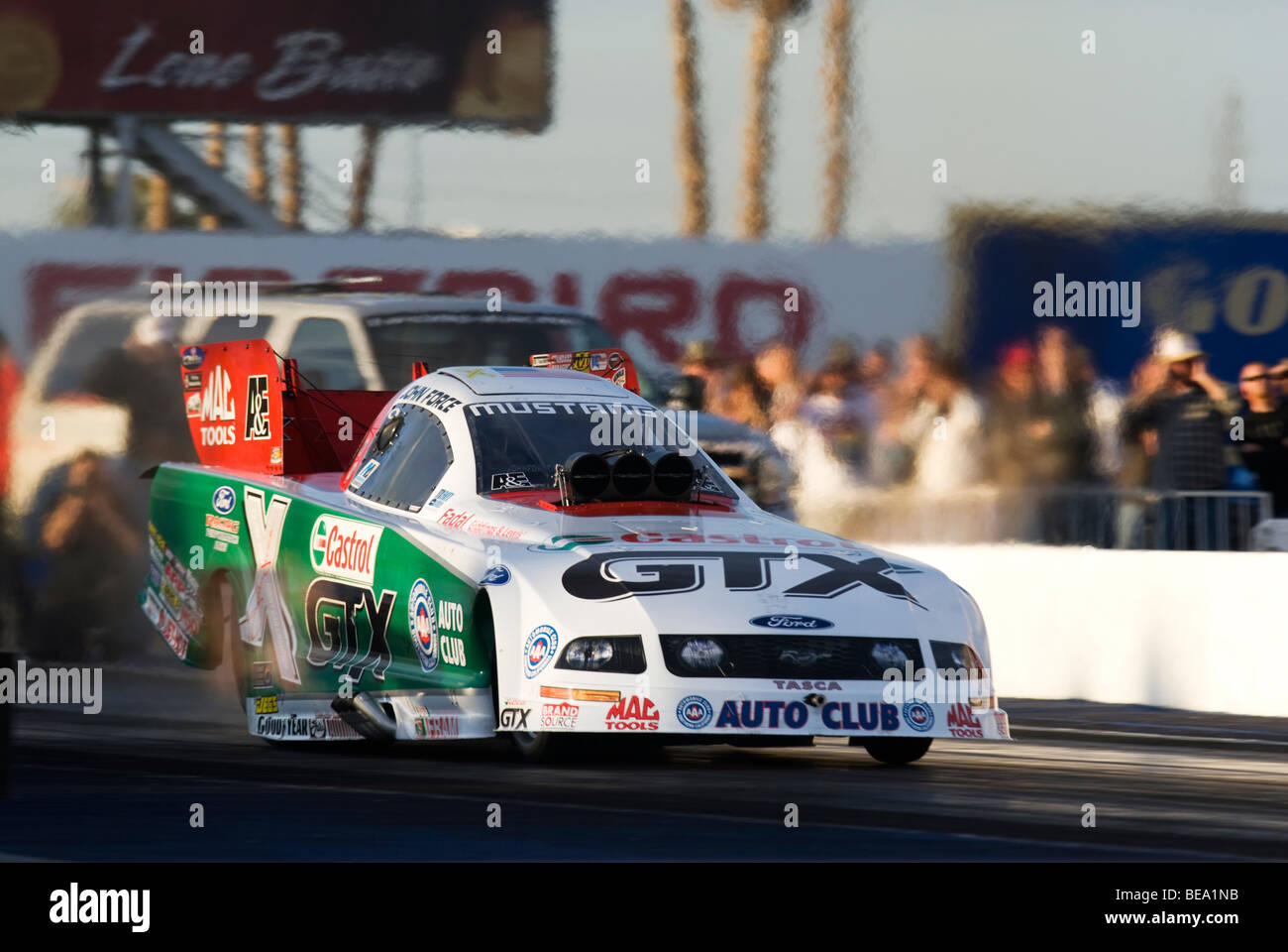 John Force 2008 NHRA Zeitfahren-Aktion auf dem Firebird International Raceway, Chandler, Arizona, USA Stockfoto