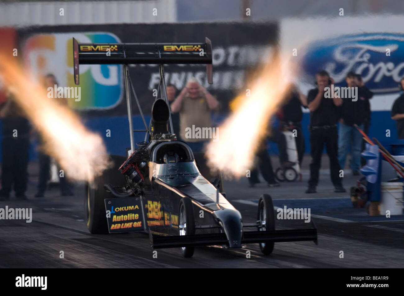 Troy Buff das BME Top Kraftstoff Auto fährt im Jahr 2008 NHRA Zeitfahren-Aktion auf dem Firebird International Raceway, Chandler, Arizona, USA Stockfoto