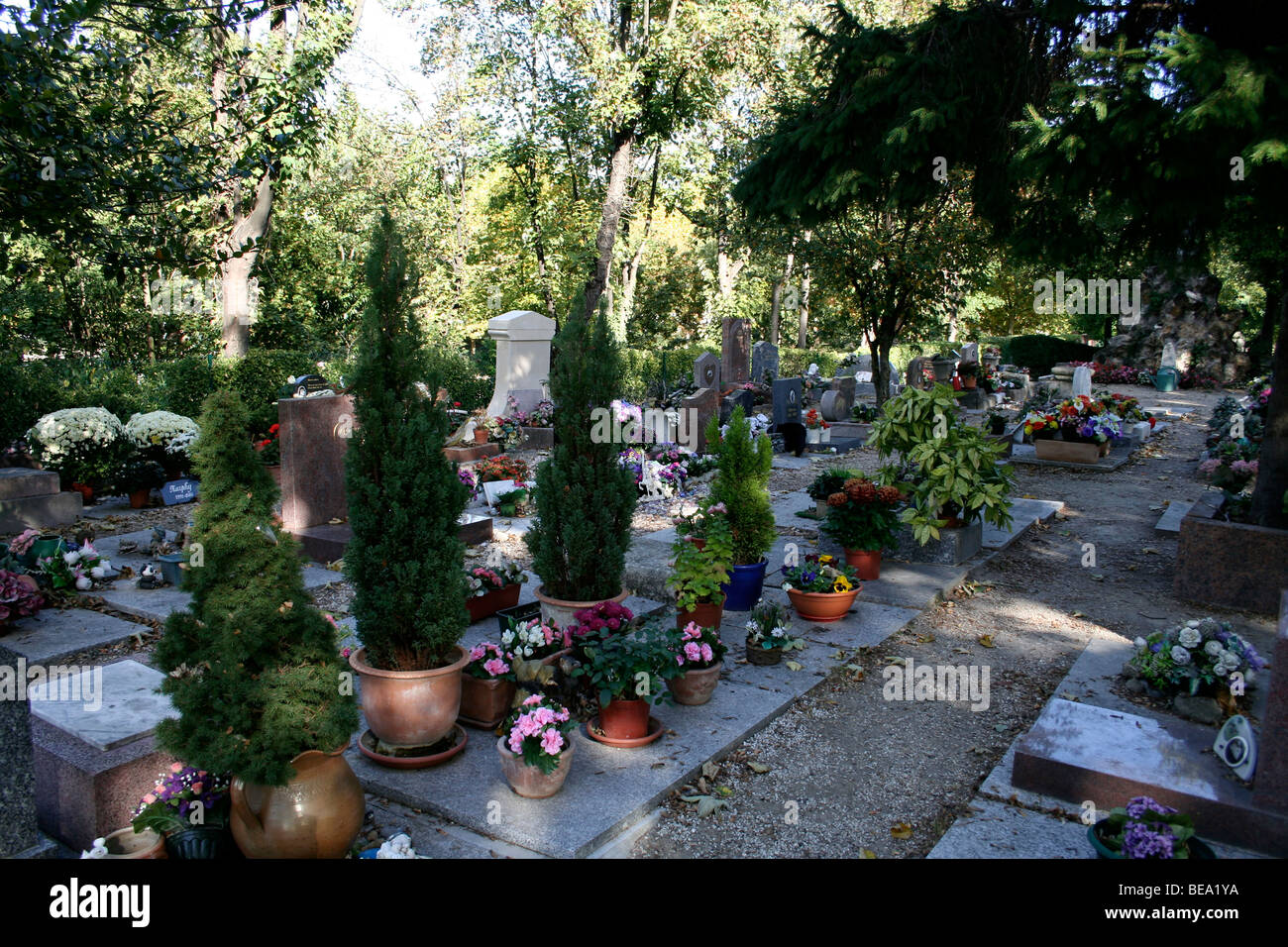 Der Hund-Friedhof in Paris Stockfoto