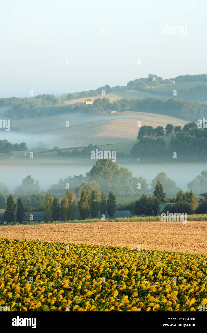 Sonnenaufgang und nebligen Morgen auf dem Lande in der Nähe von Castelmoron, Lot-Tal, Aquitaine, Frankreich Stockfoto