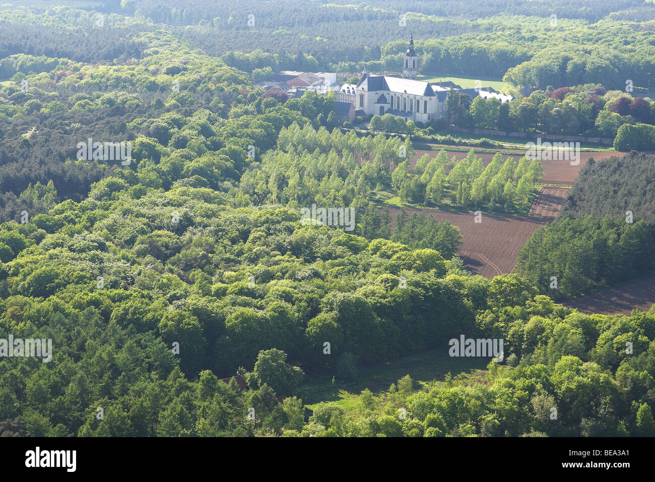 BOS Vanuit de Lucht, Belgien Mischwald aus der Luft, Belgien Stockfoto