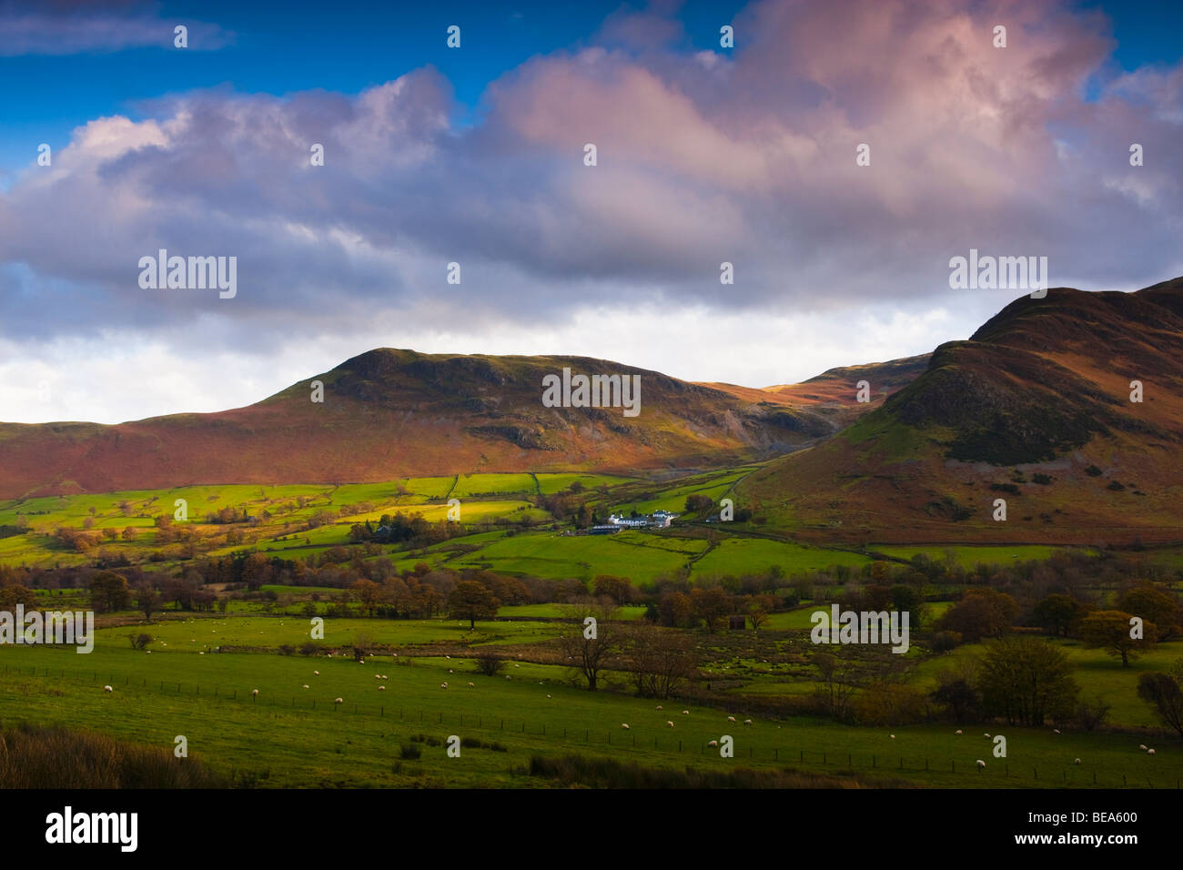 Kleinstadt mit Katze Glocken in b/g Newlands Valley Cumbrian Mountains Nationalpark Lake District von Cumbria England Stockfoto