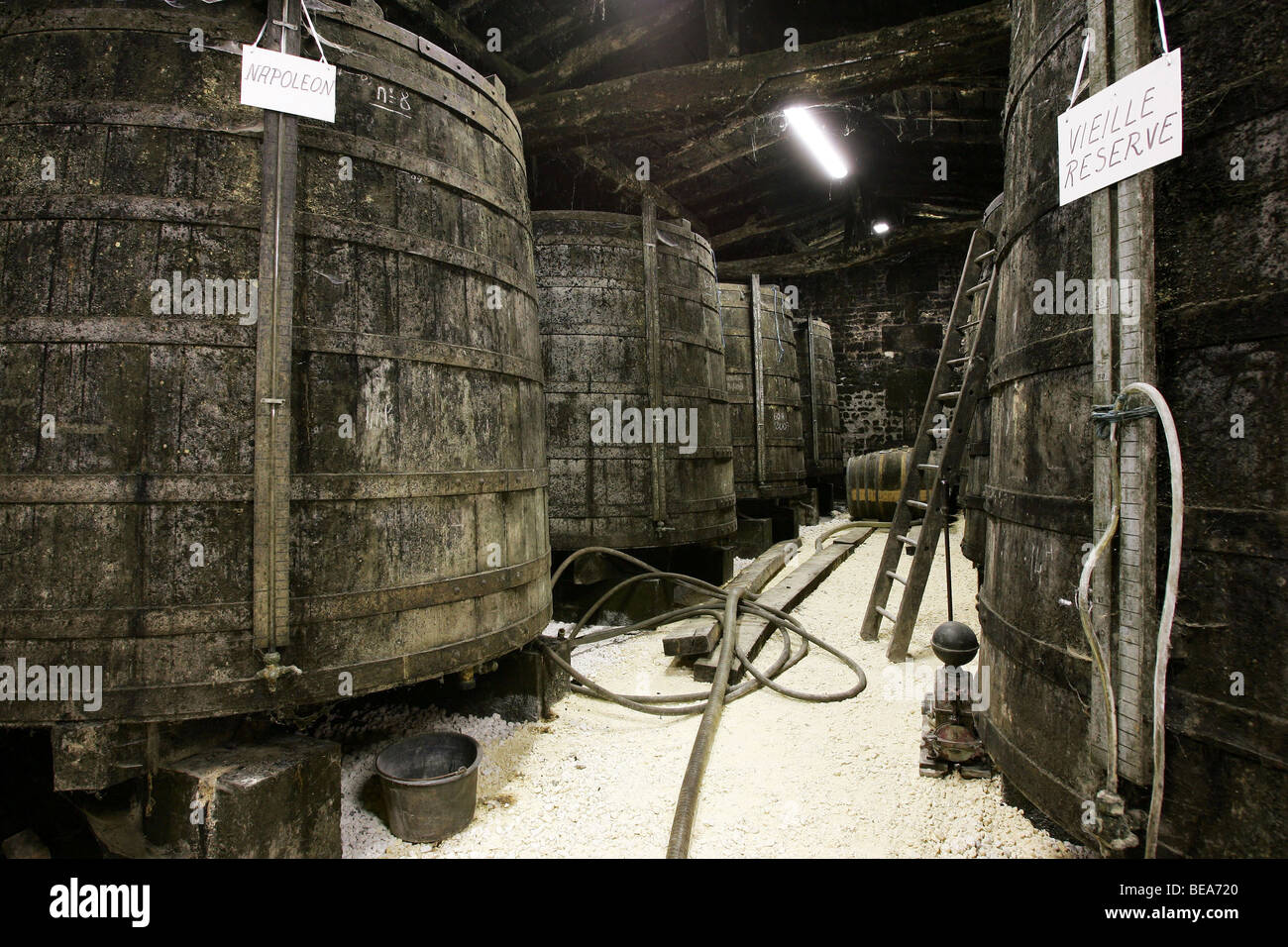 Bouteville (16): Paul Giraud Wein und Spirituosen im Speicherhaus, Hersteller von Cognac (Französisch Brandy) (2008) Stockfoto