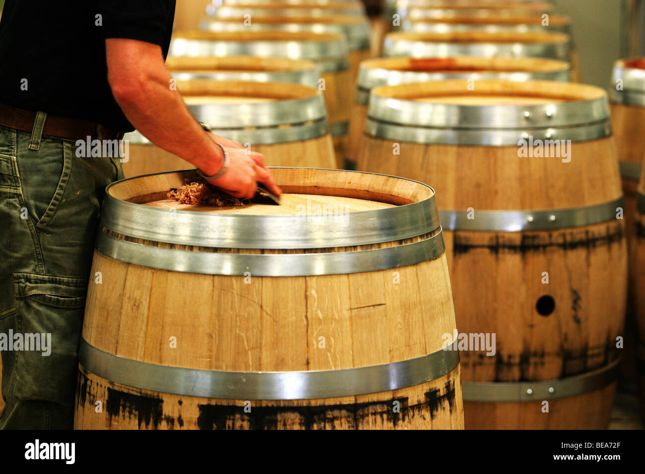 Cognac (16): Vicard Küferei Stockfoto