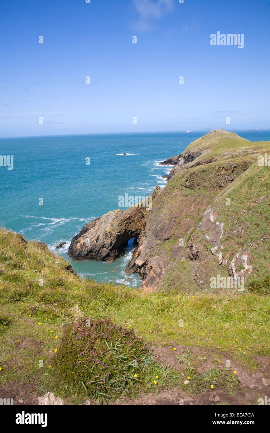 Küstenlandschaft Marloes Halbinsel Pembrokeshire Wales Stockfoto