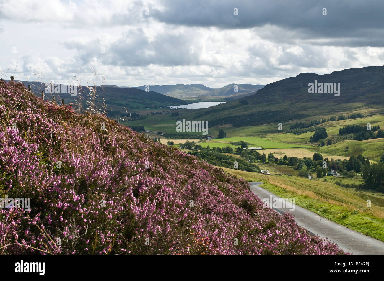 dh Glen QUAICH PERTHSHIRE Scottish Roadside lila Heidekraut Straße führt Ins Glen Quaich Valley schottland uk Hochland Blick Hochland Land Stockfoto