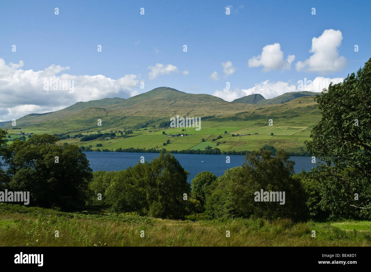 Dh LOCH TAY PERTHSHIRE Ben Lawers Bergkette und lochside Bäume Schottland Berge Stockfoto