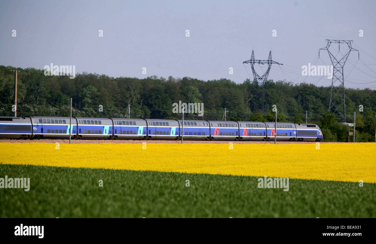Hochgeschwindigkeitszug TGV Stockfoto