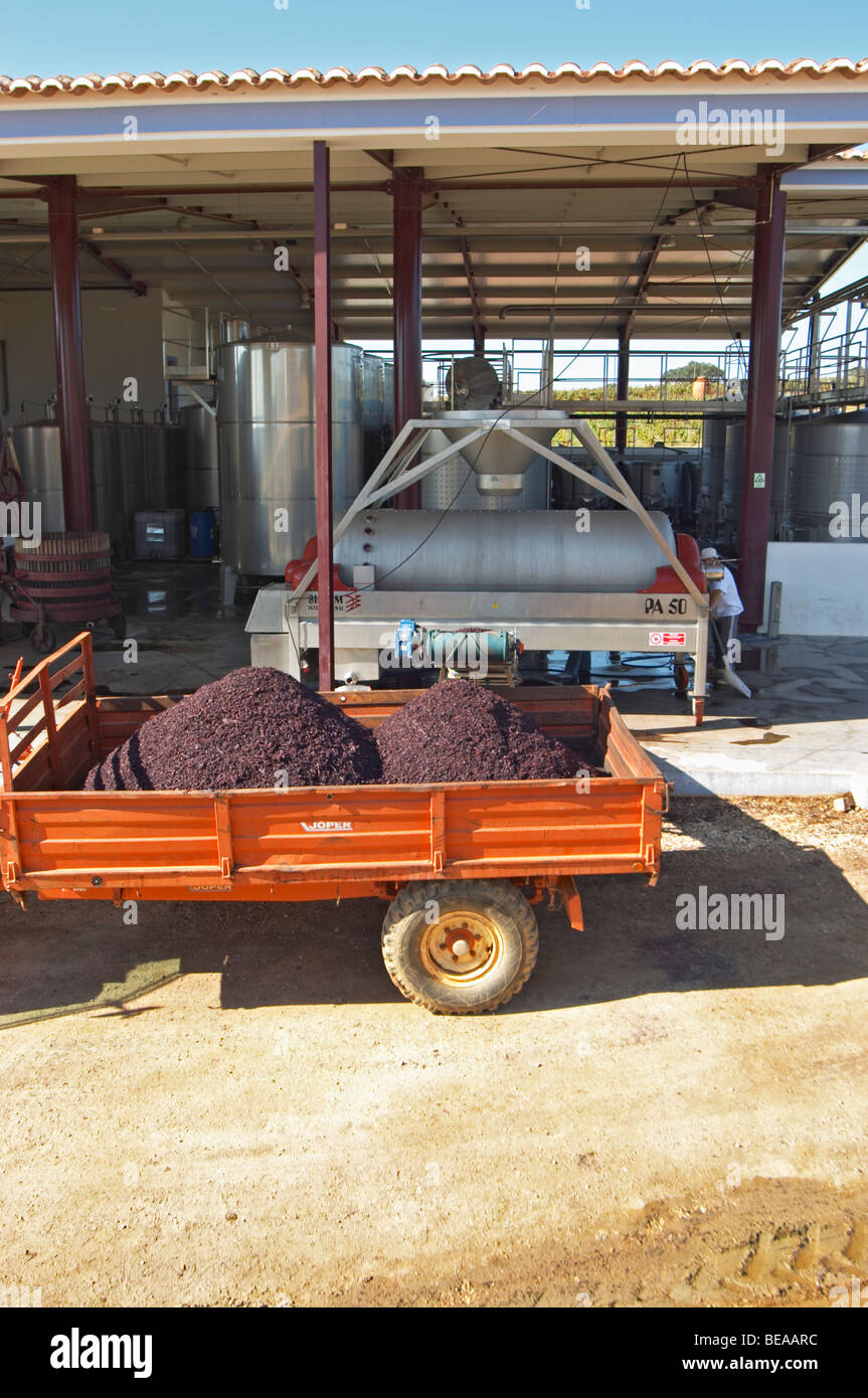 Entleerung der Presse Rückstände Herdade de Sao Miguel Alentejo portugal Stockfoto