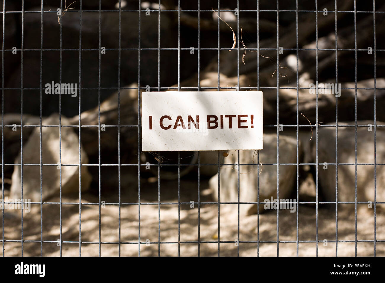 Ein Schild mit der Aufschrift ich kann Biss! in einem Käfig Stockfoto