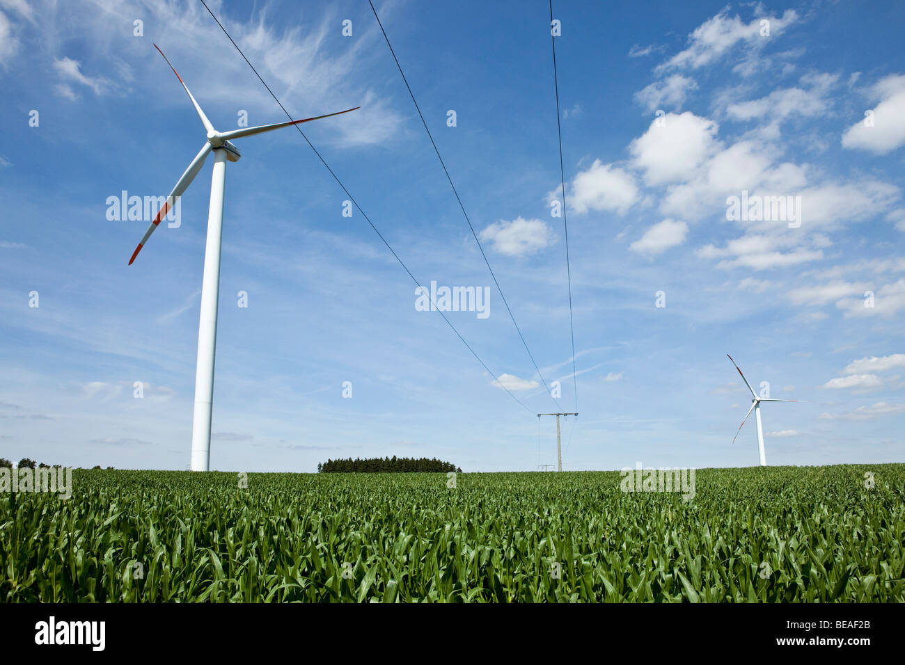 Windkraftanlagen in einem Feld Stockfoto