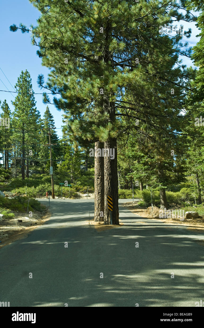 Tahoe City, Lake Tahoe Szenen, Kalifornien Stockfoto