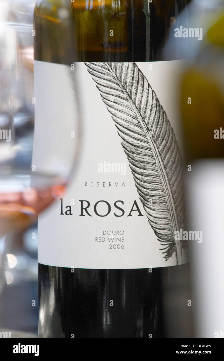 Quinta De La Rosa Douro Portugal Stockfoto
