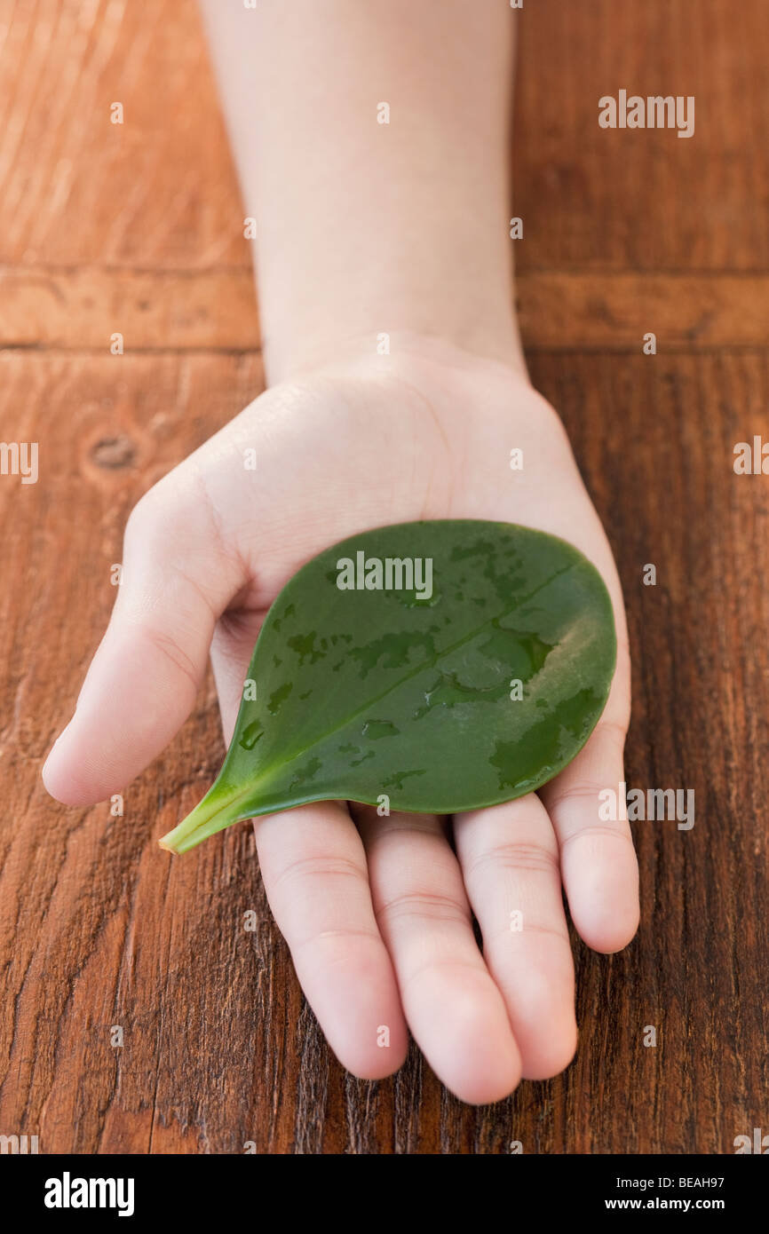 Frau Holding nasse Blatt Stockfoto