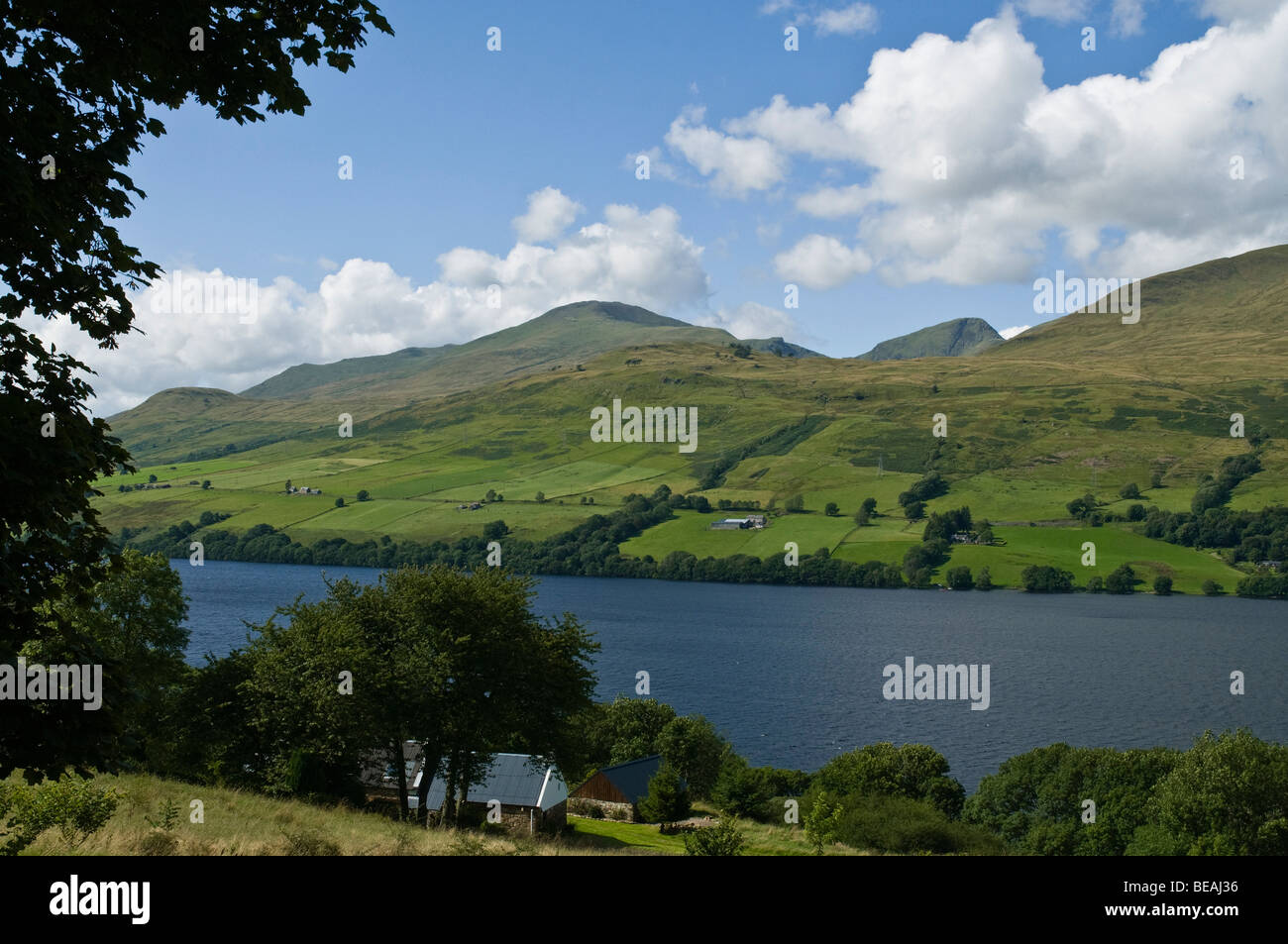 dh LOCH TAY PERTHSHIRE Ben Lawers Bergkette und lochside Bäume Hochland Bergblick Stockfoto