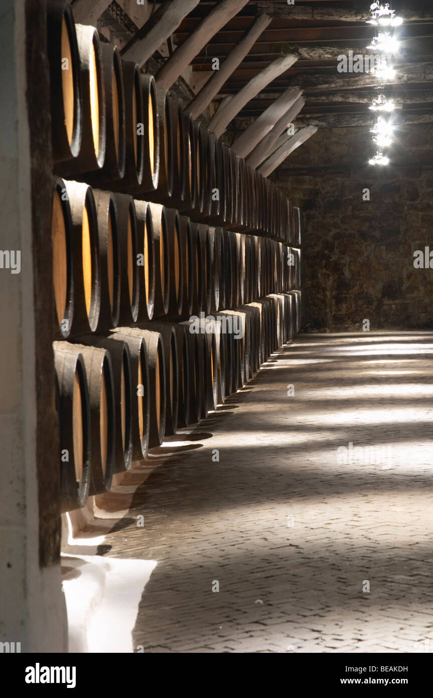 Fässer mit dem Altern Port Sandeman Port Vila Nova De Gaia Porto Portugal einreichen Stockfoto