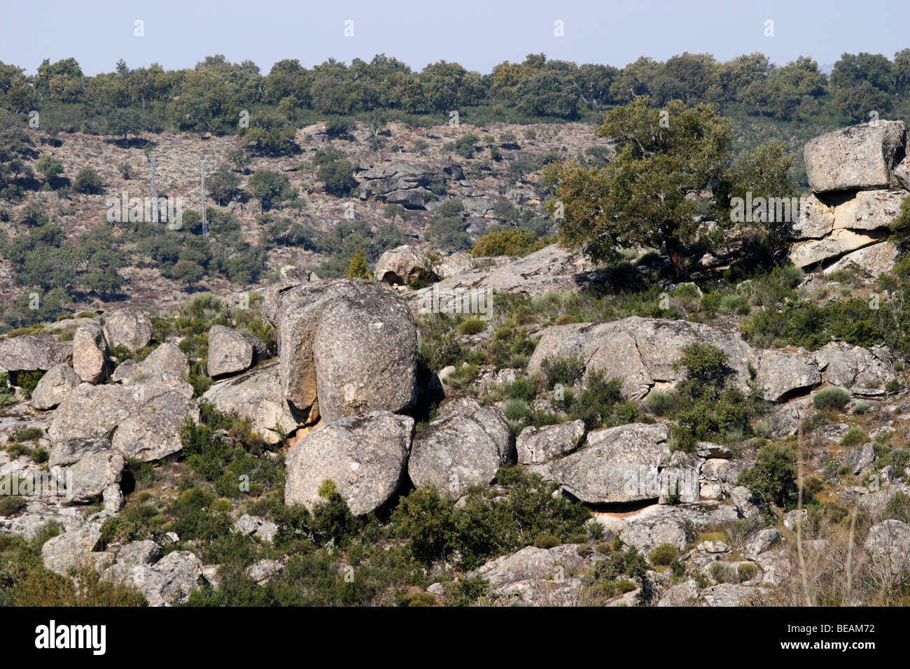 Felsbrocken in den Bereichen Bodega La Setera, DO Arribes del Duero Spanien Kastilien und Leon Stockfoto