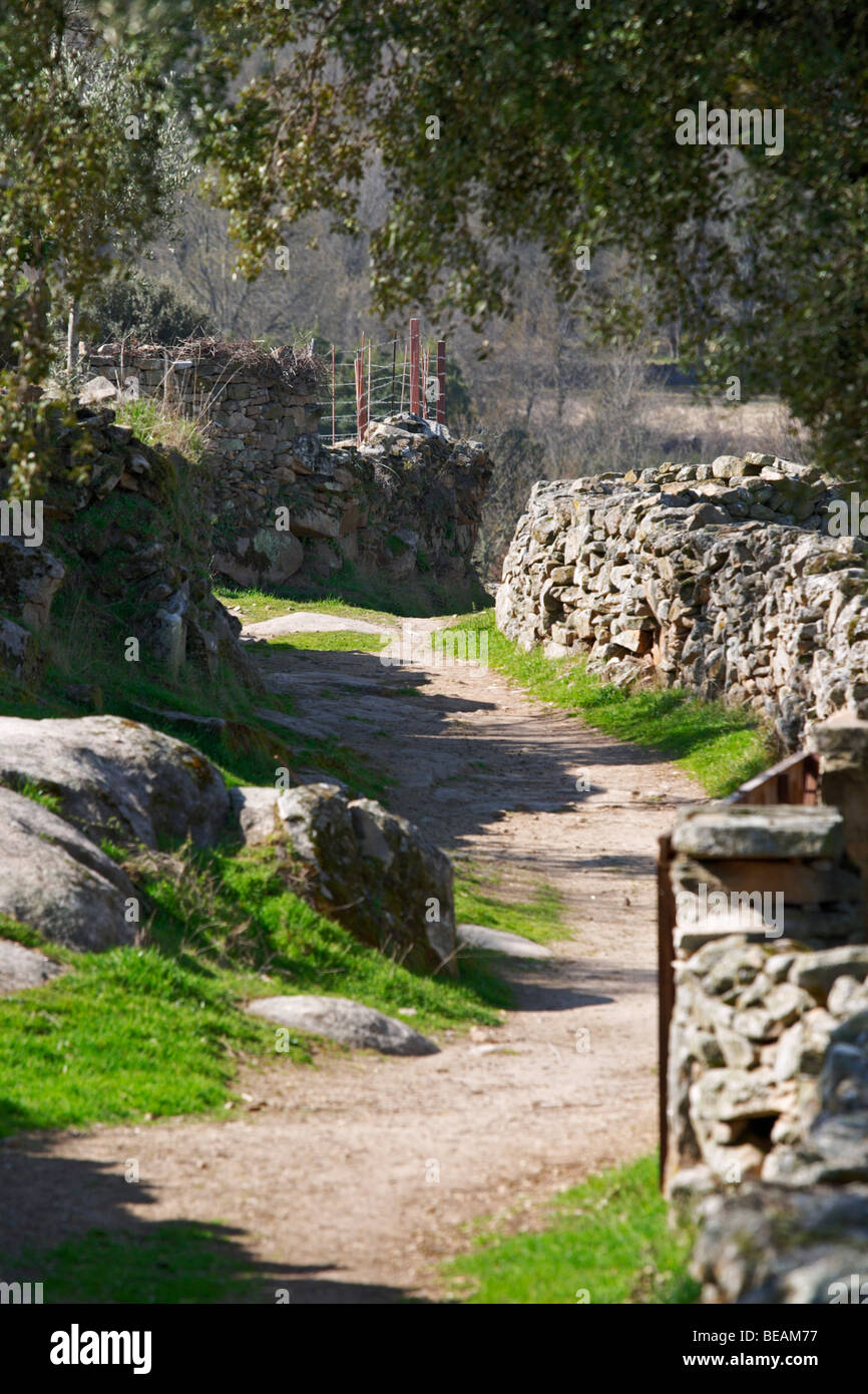 einem gewundenen Feldweg und Steinwände Bodega La Setera, DO Arribes del Duero Spanien Kastilien und Leon Stockfoto
