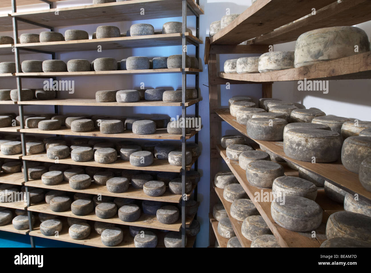 Käse shop Bodega La Setera, DO Arribes del Duero Spanien Kastilien und leon Stockfoto