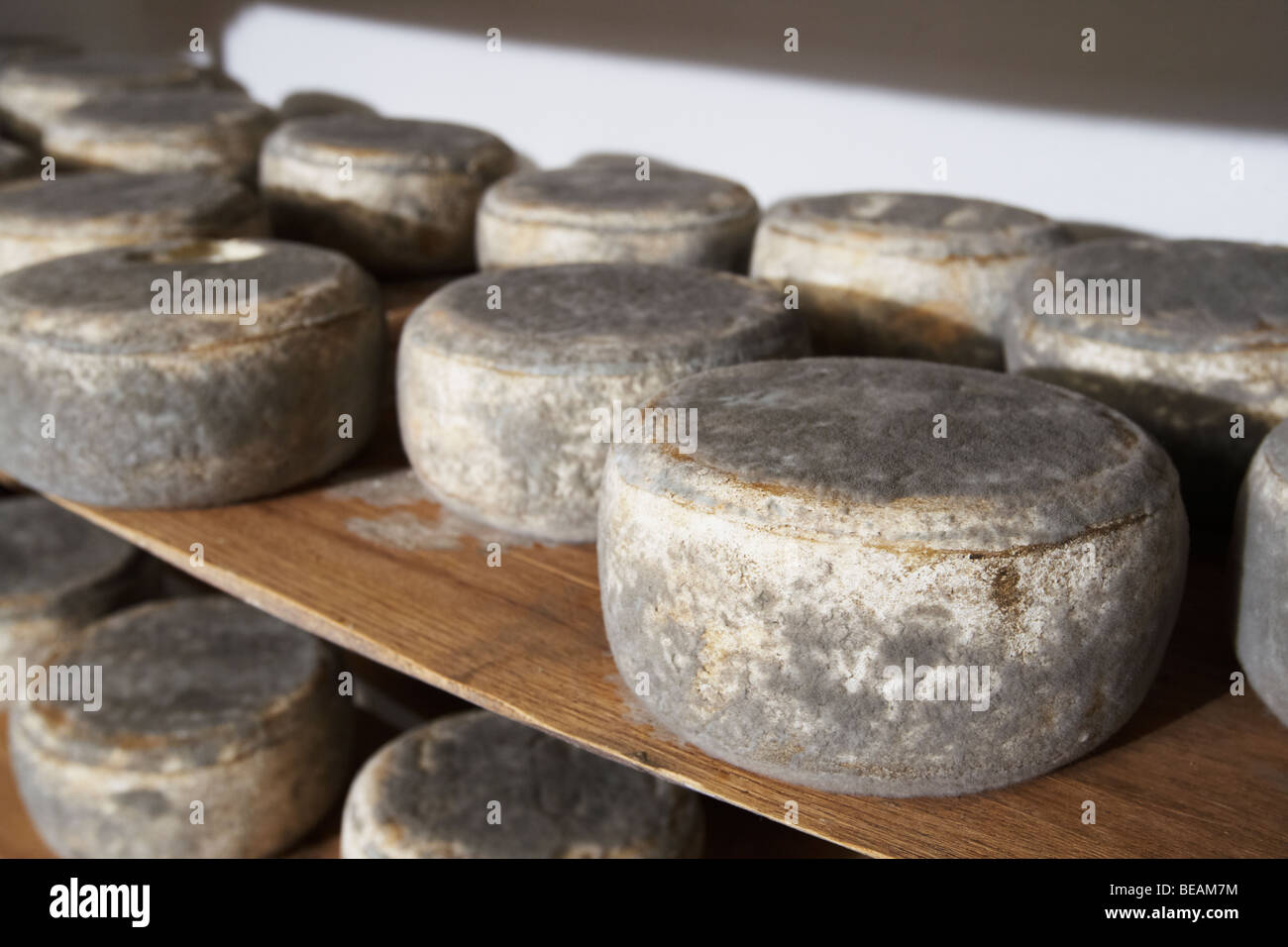 Käse shop Bodega La Setera, DO Arribes del Duero Spanien Kastilien und leon Stockfoto