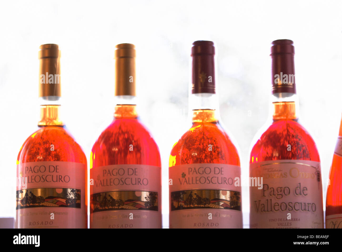 Pago de Valleoscuro Rosado Rose, Bodegas Otero, Benavente Spanien Kastilien und leon Stockfoto