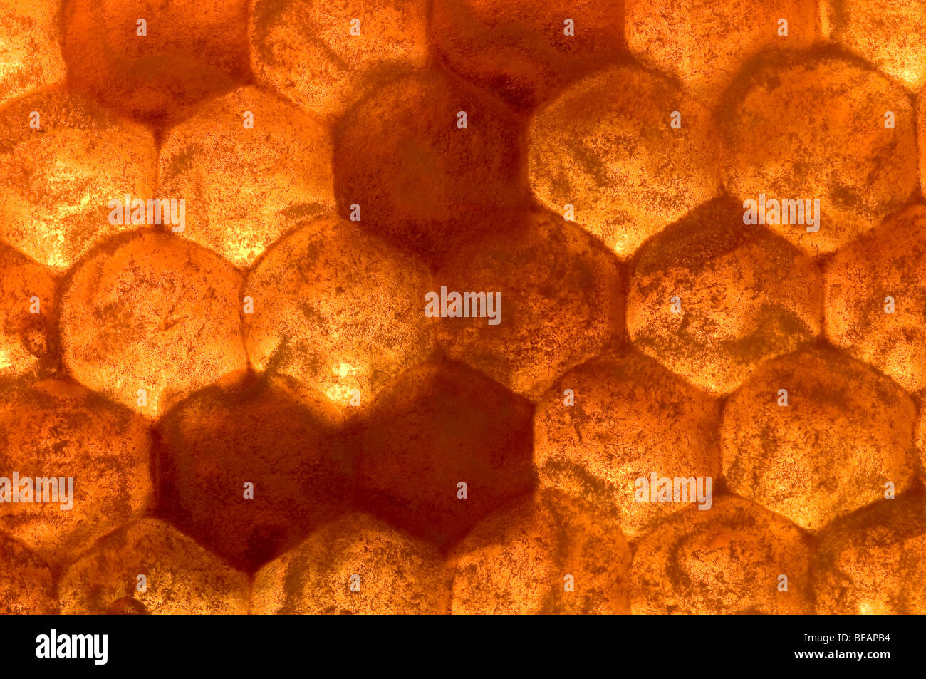 Hintergrundbeleuchtung begrenzt Honig Rahmen Stockfoto