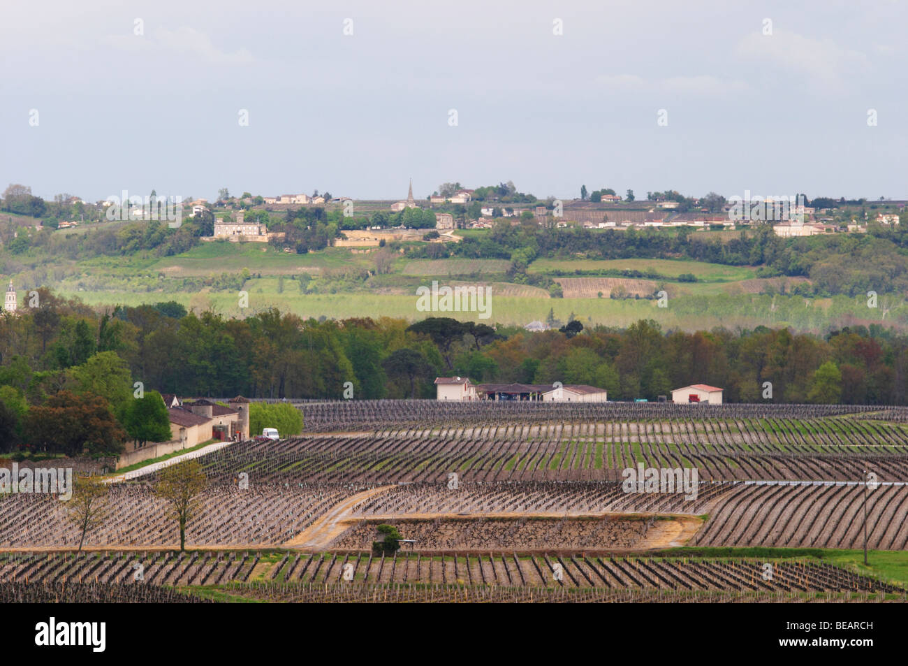 Weingut Château d ' Yquem Sauternes Bordeaux Frankreich Stockfoto