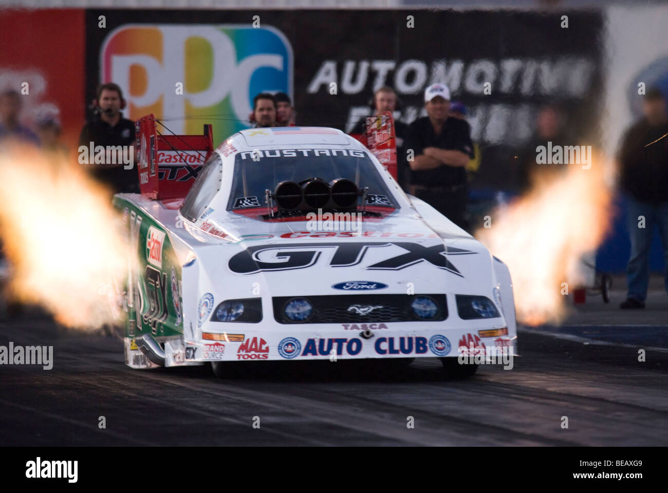John Force 2008 NHRA Zeitfahren-Aktion auf dem Firebird International Raceway, Chandler, Arizona, USA Stockfoto