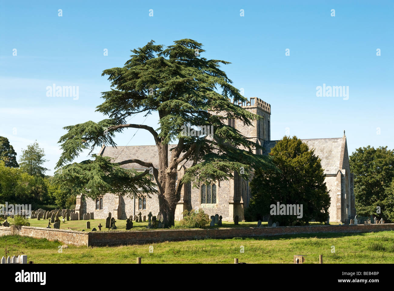 St.-Marien Kirche, großes Bedwyn Berks mit Eibe Stockfoto