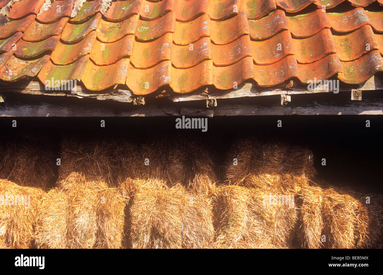 Detail der alten Scheune mit rotem Lehm Flachdachziegel Dach und gestapelten hoch mit kleinen Strohballen Stockfoto