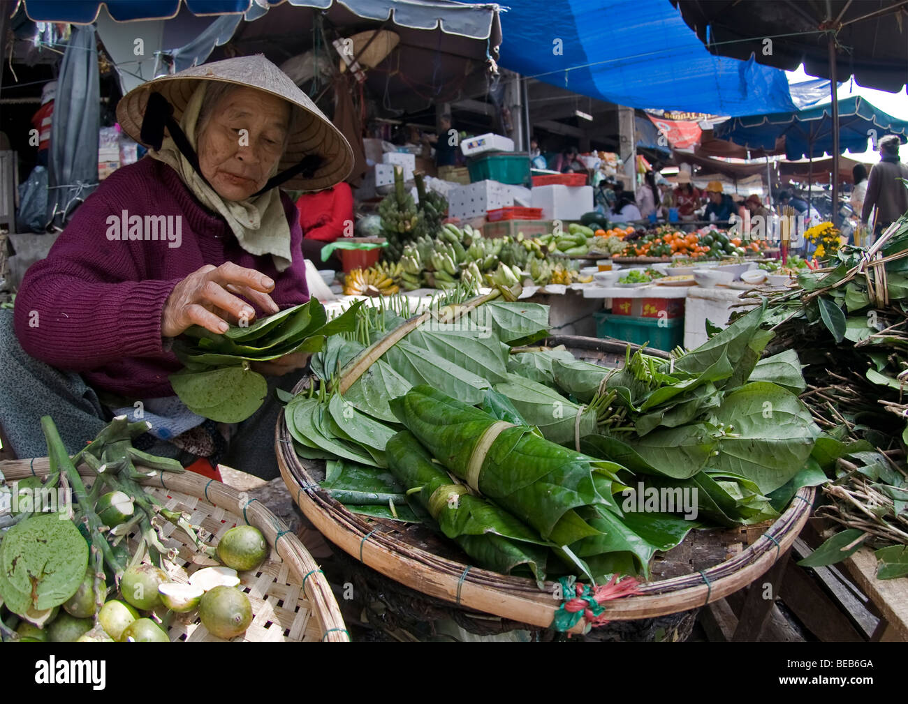 Markt Anbieter & produzieren, Hoi an, Vietnam Stockfoto