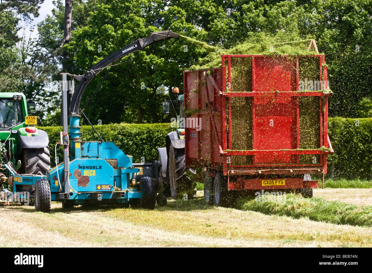 Ein Futter Havester bei der Arbeit, Herstellung von Silage Stockfoto