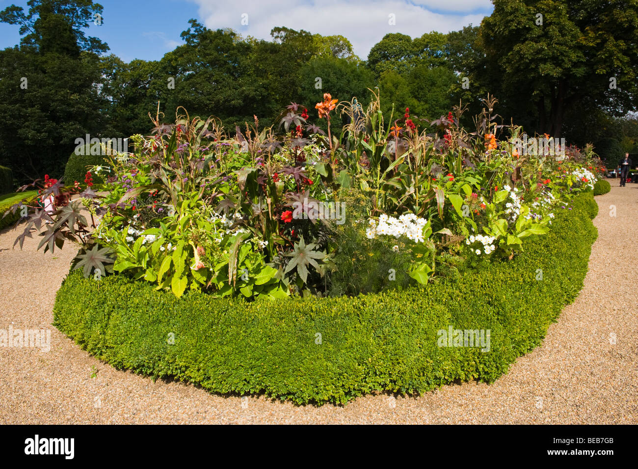 Grünanlage mit Box Hecke Pflanzen groß und Statue des Marquess of Bute im Stadtzentrum von Cardiff South Wales UK Stockfoto