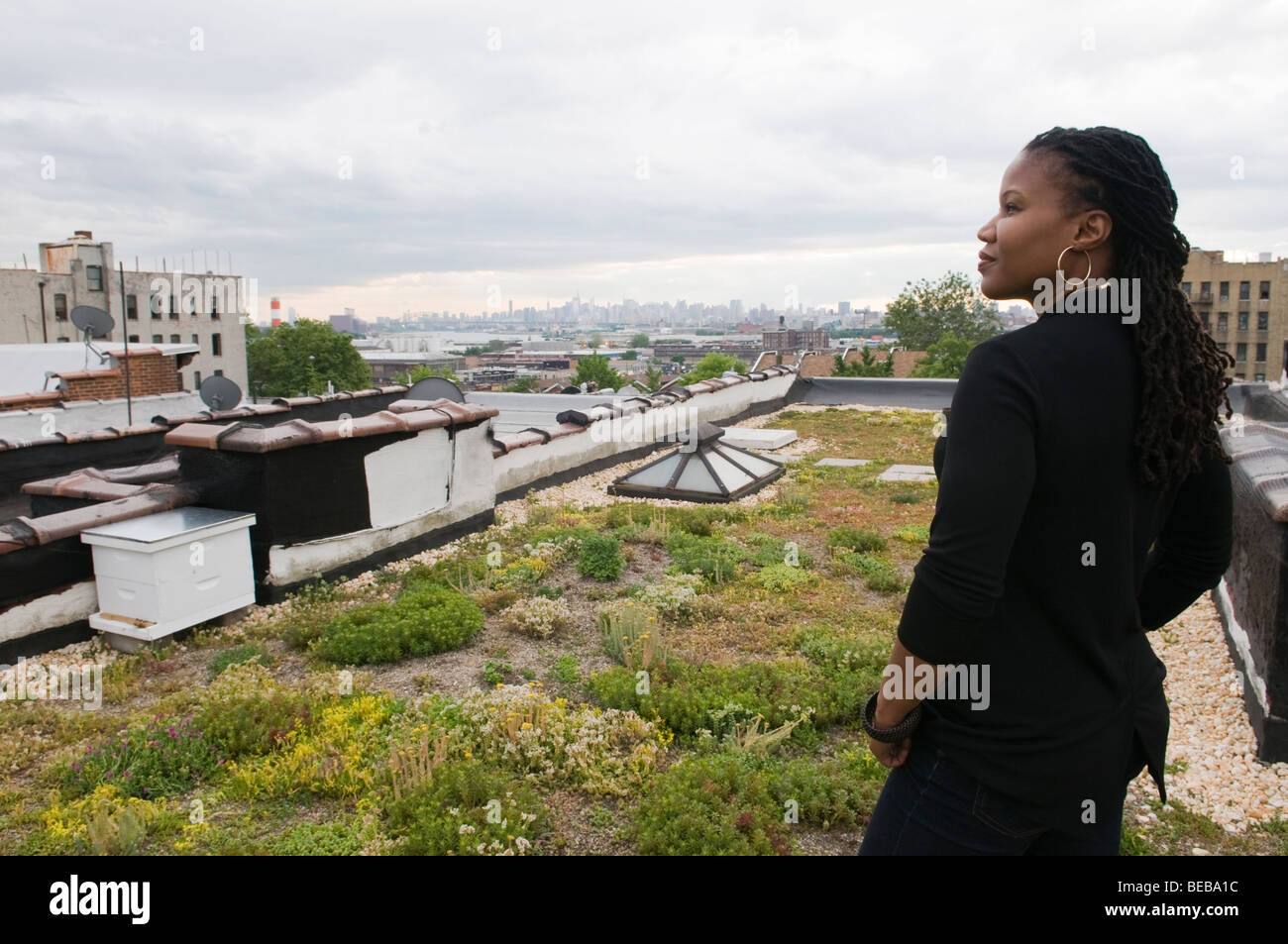 Urbane Revitalisierung Stratege, Majora Carter auf ihrem grünen Dach in der South Bronx. Stockfoto