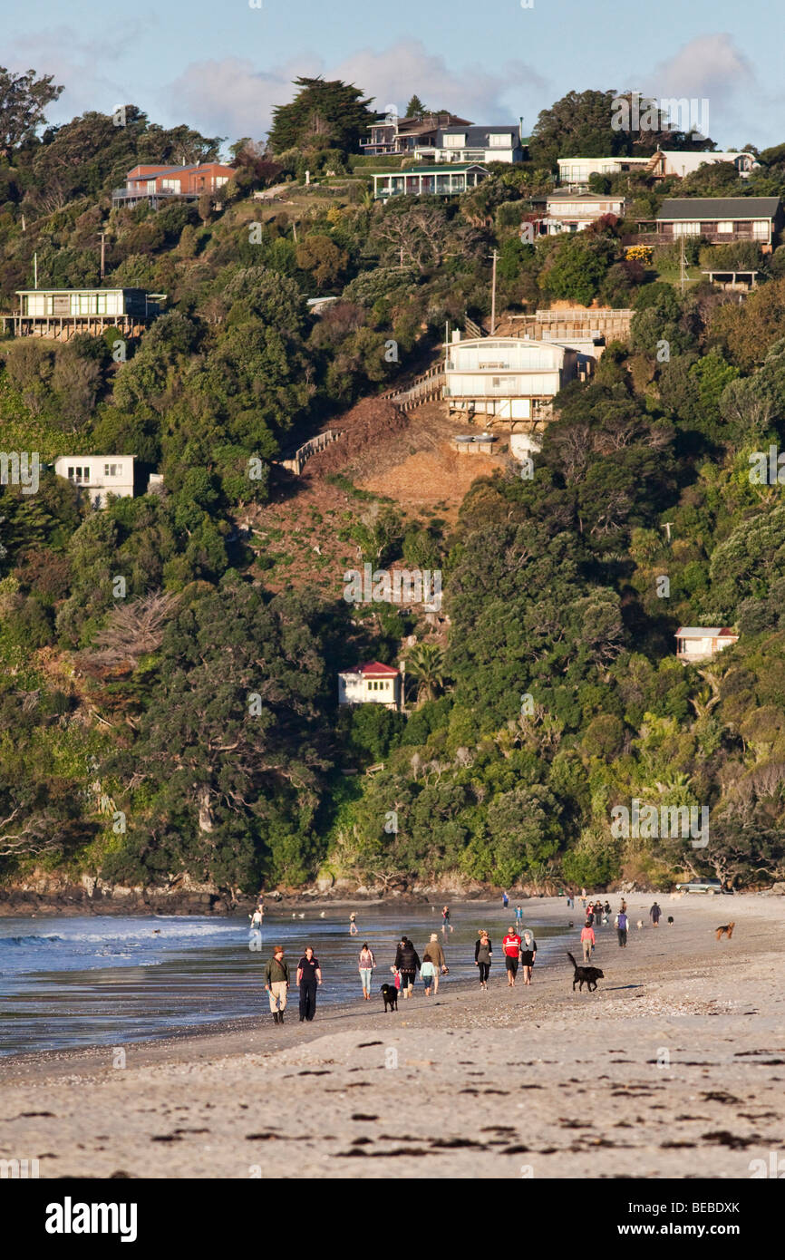 Strand auf Waiheke Island (Neuseeland) Stockfoto