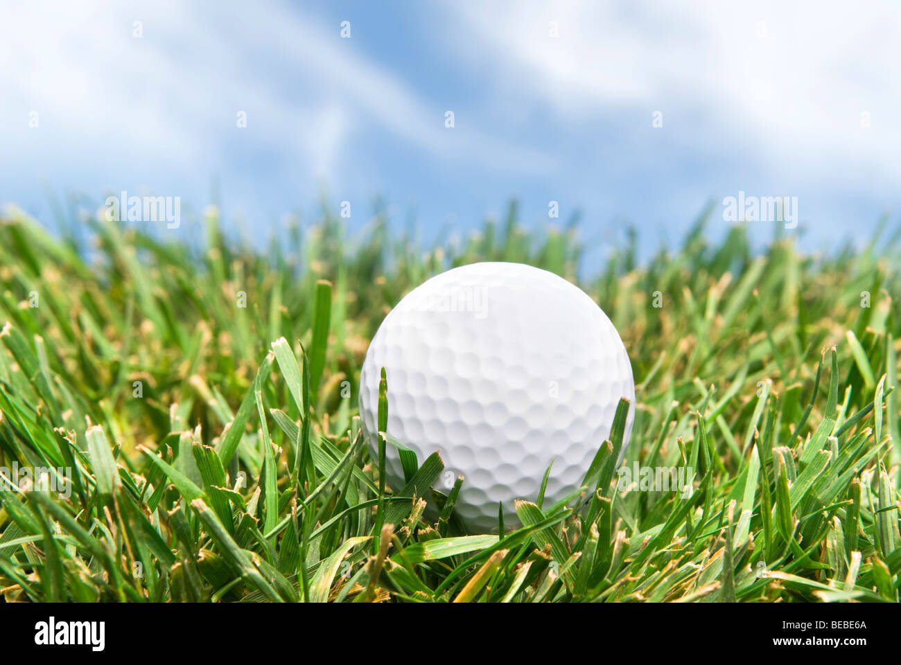 Ein Golfball sitzt im Rough an einem hellen, sonnigen Tag. Stockfoto