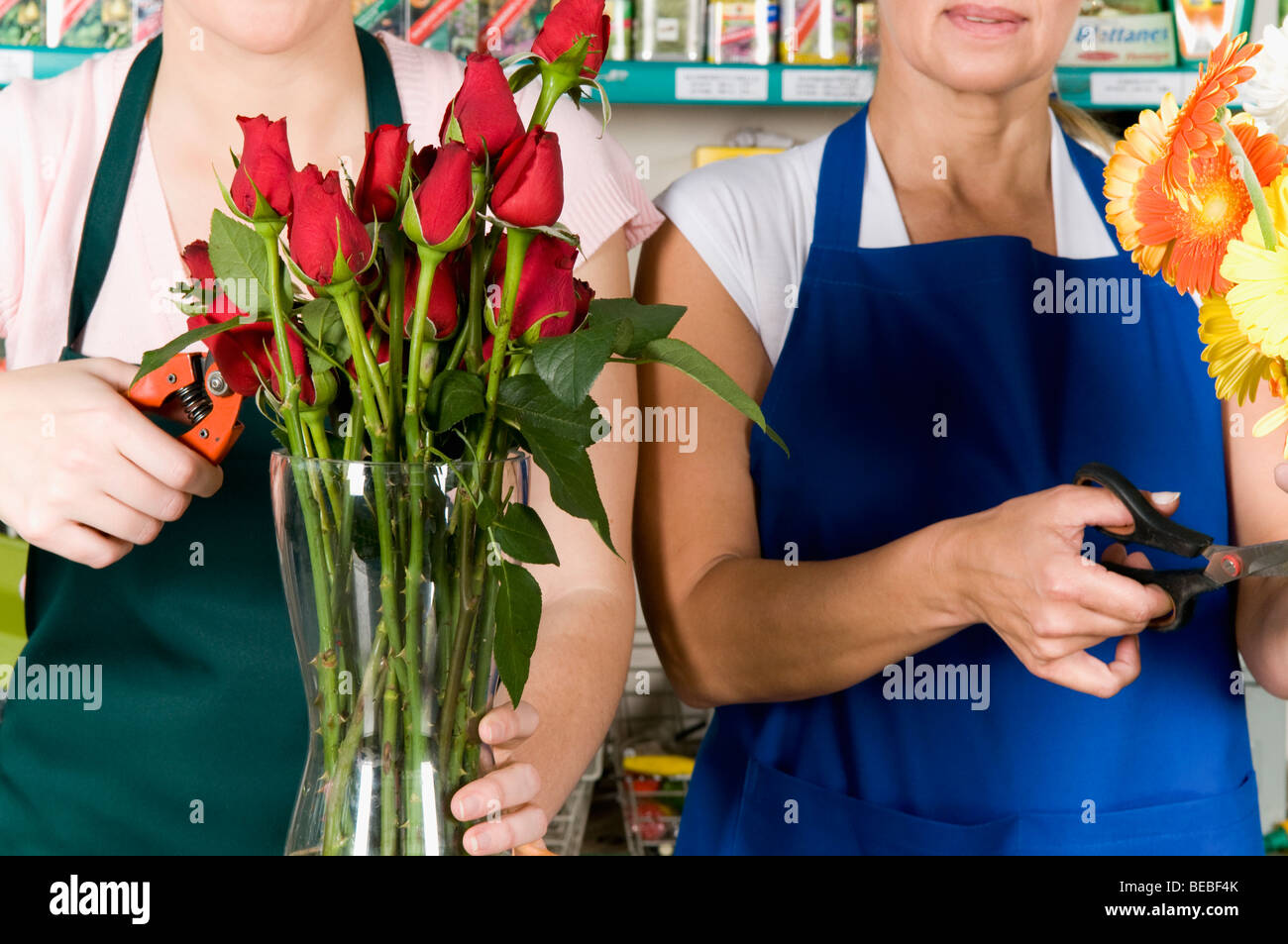 Zwei weibliche Floristen arrangieren Blumen in Vasen Stockfoto